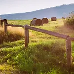 Przewietrzona Głowa Domek alpejski
