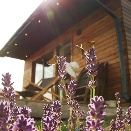 Przewietrzona Glowa Ponikwa (Lower Silesia)