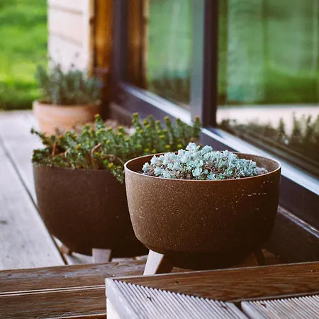 Przewietrzona Glowa Ponikwa (Lower Silesia)