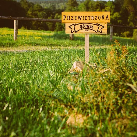 Chalet Przewietrzona Glowa