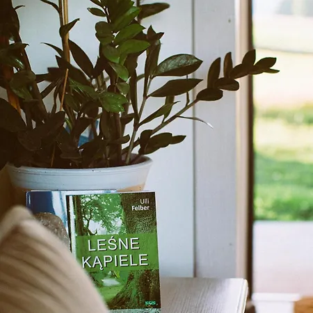 Przewietrzona Glowa *