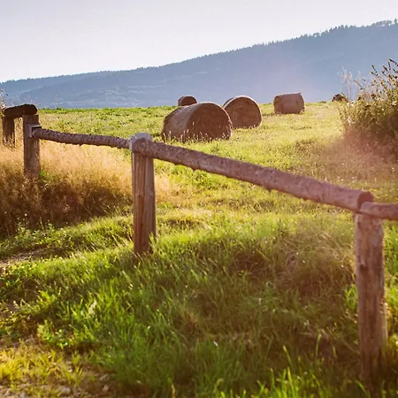 Przewietrzona Glowa Alpehytte