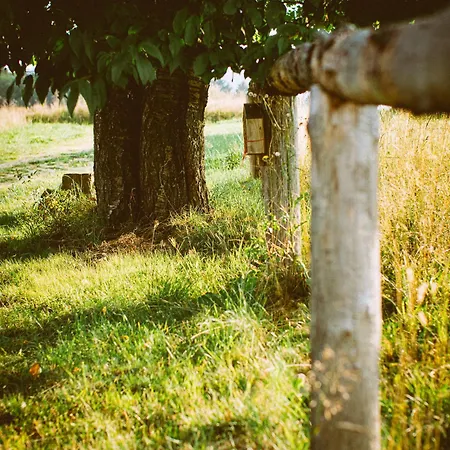 Przewietrzona Glowa Alpehytte Ponikwa (Lower Silesia)