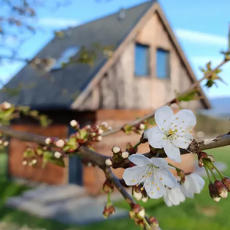 Przewietrzona Glowa Ponikwa (Lower Silesia)