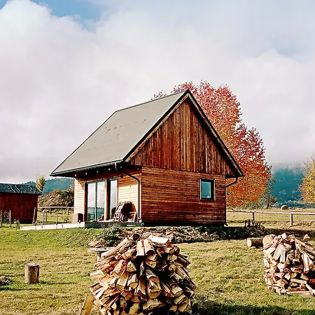 Przewietrzona Glowa *