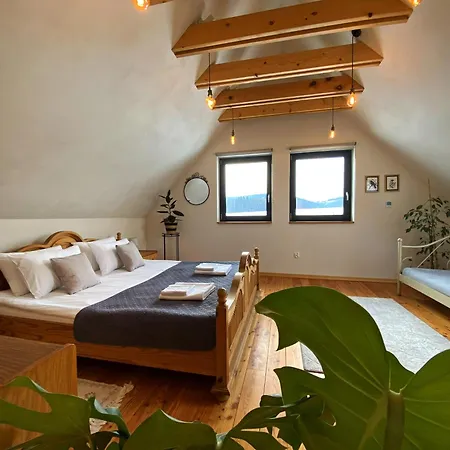 Przewietrzona Głowa *