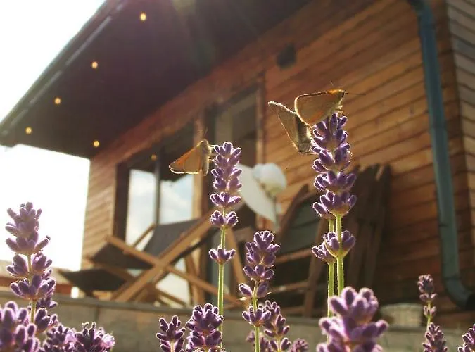 Przewietrzona Głowa Ponikwa (Lower Silesia)