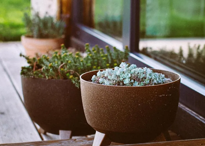 Przewietrzona Głowa Ponikwa (Lower Silesia)