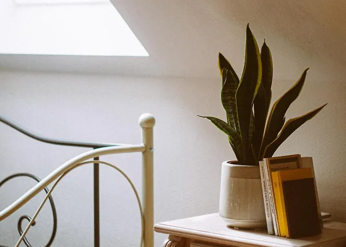 Przewietrzona Głowa Domek alpejski Ponikwa (Lower Silesia)