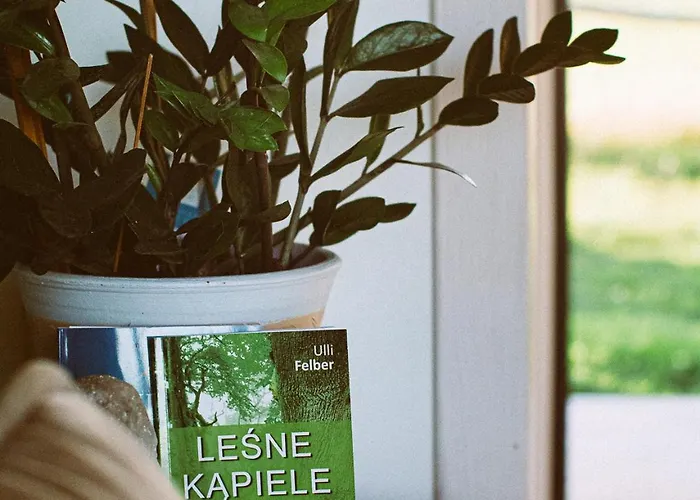 Przewietrzona Głowa *