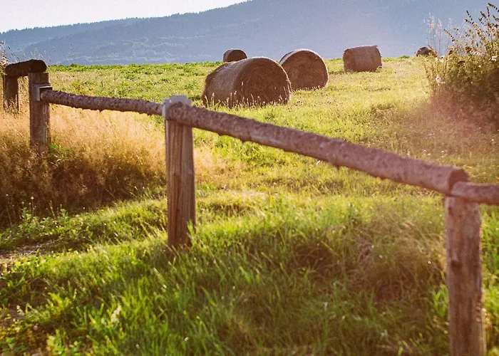 Przewietrzona Głowa Domek alpejski