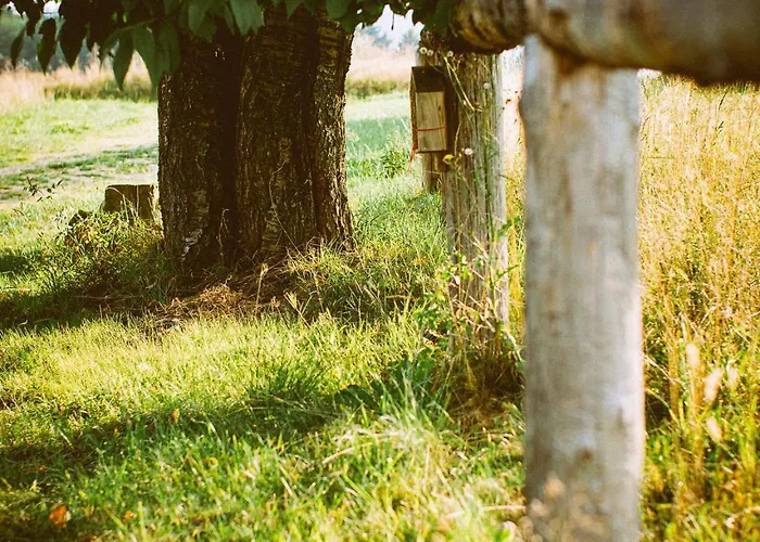 Przewietrzona Głowa Domek alpejski Ponikwa (Lower Silesia)
