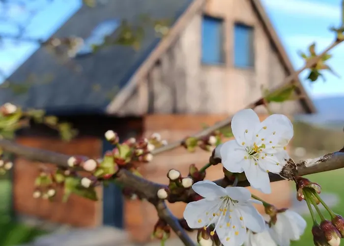 Przewietrzona Głowa Ponikwa (Lower Silesia)