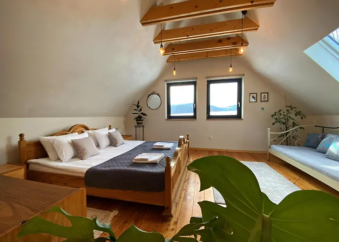 Przewietrzona Głowa *